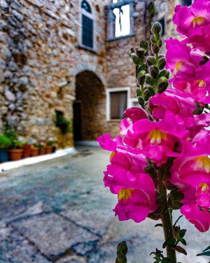 Chios Mantalenas Apartments Véssa Exterior foto